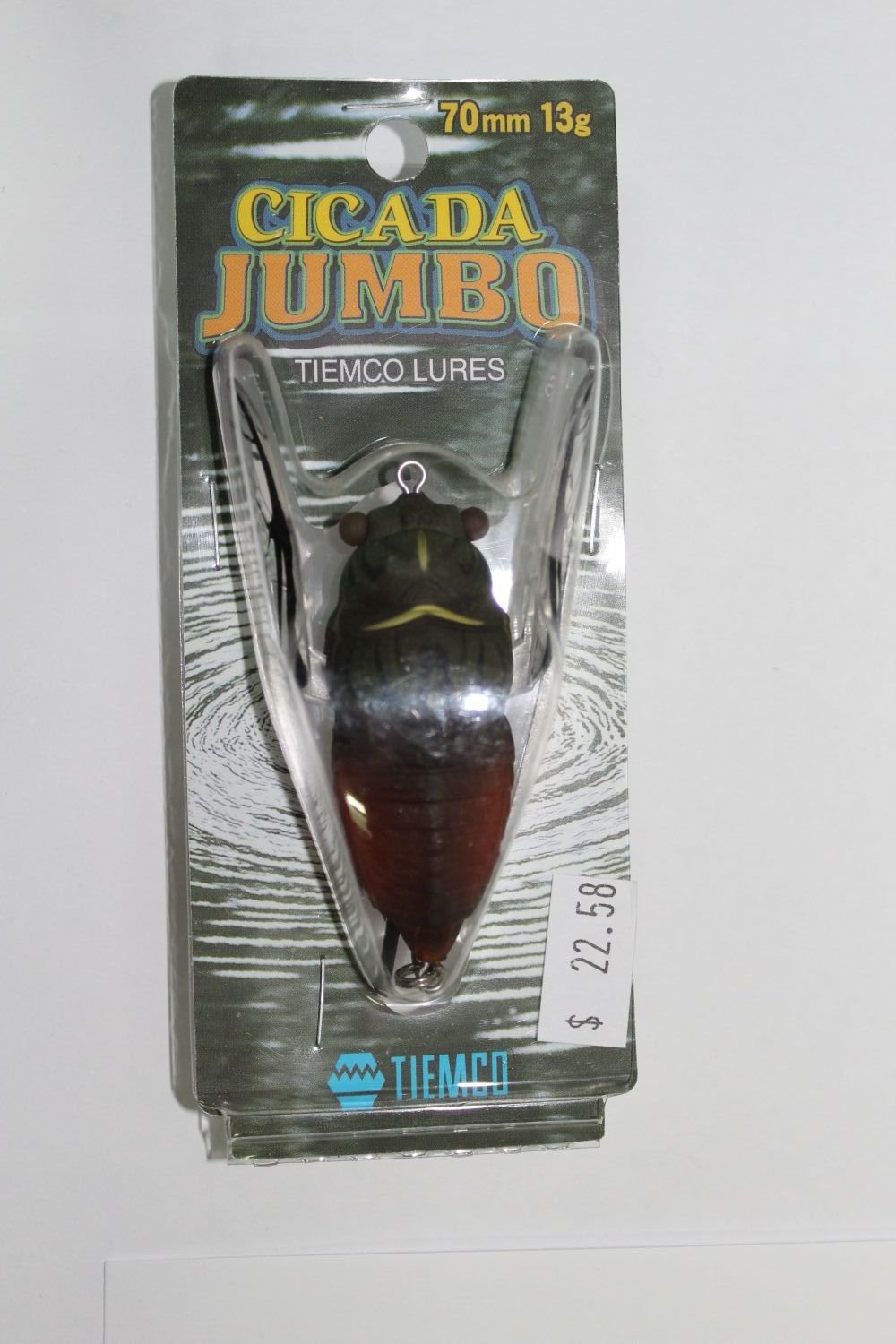 Jumbo Cicada Jumbo-048